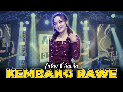 Intan Chacha - Kembang Rawe | Duta Nirwana Music [OFFICIAL]