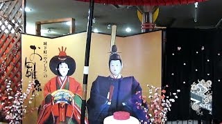 preview picture of video '城下町「やつしろ」のお雛まつり2014  in Yatsusiro City,Kumamoto)'