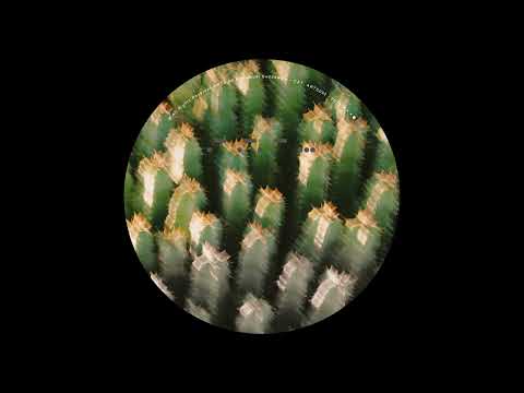 DEAS — Resistance [ARTS052]