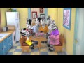 ZOU Opening