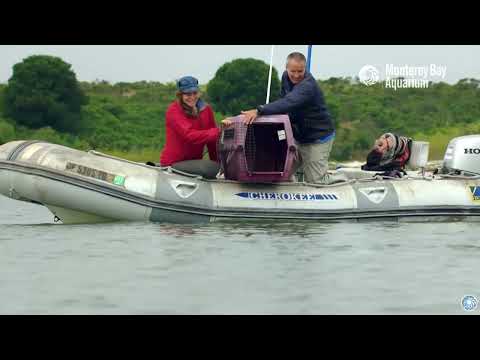 Deb DeVries ELearning Demo