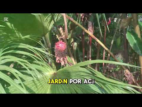 Inspección de Guadualito en Yacopí Cundinamarca. 