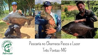 Pescaria no Charneca Pesca e lazer, localizado em três Pontas-MG