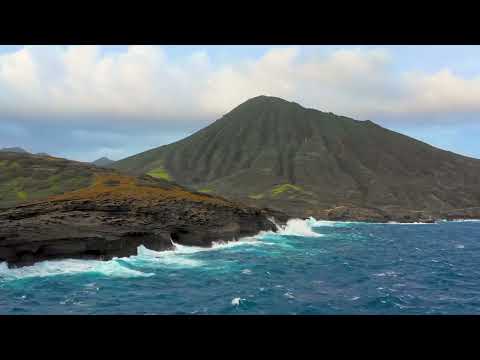 OPwekking 441 De kracht van Jezus