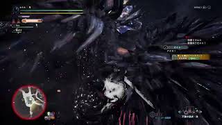 【MHWIB/PS4】装飾品集めメインで