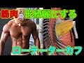 より綺麗に筋肉を付けるためのローテーターカフ種目【筋トレ】