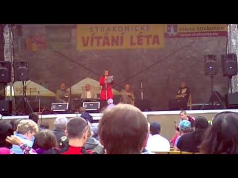 Lenka Plačková- Zvířata