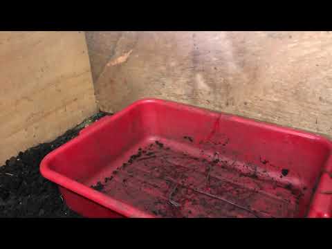 Harvest worm castings