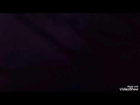 220-as busz bemondásai (Újpest kp. M-Erdősor út)