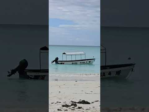 August 29, 2024. Evening vibes at Maisha Beach, Nungwi, Tanzania 🇹🇿🇹🇿
