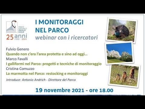 I monitoraggi nel parco