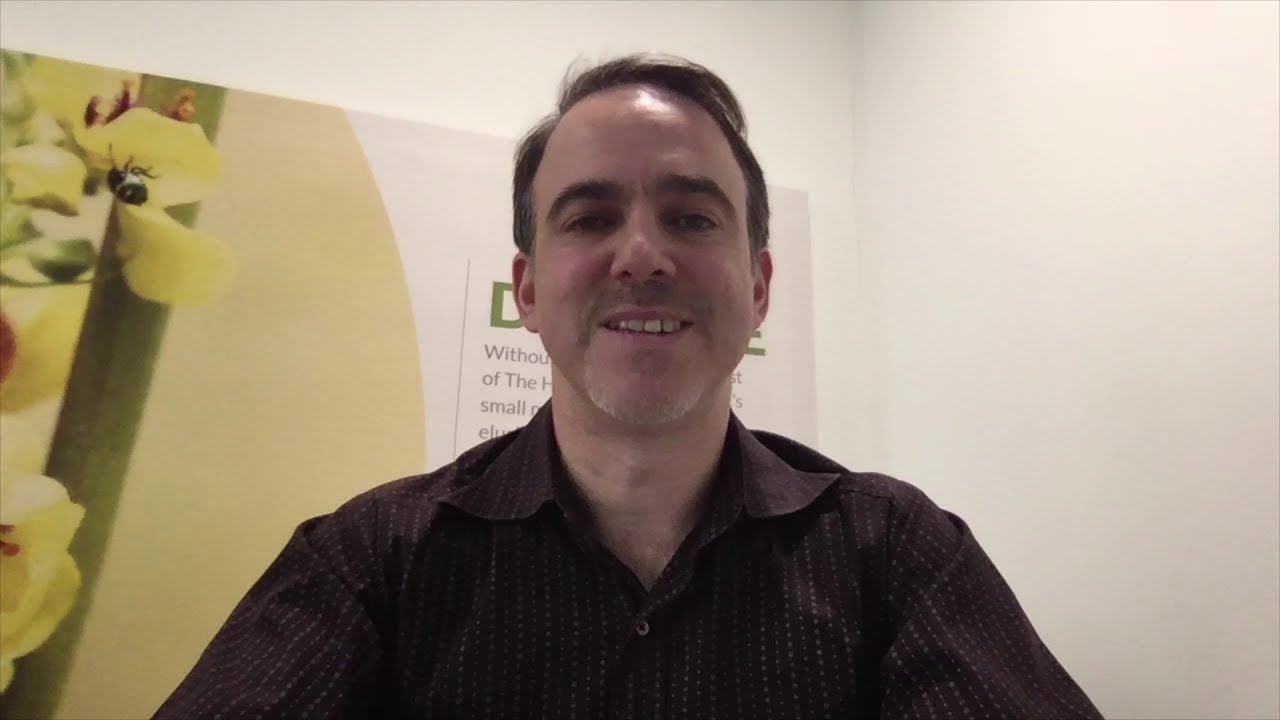 Drupal Module Paragraphs Inline Entity Form