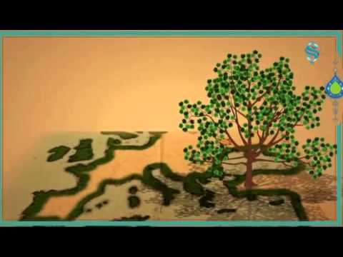 "Osman Gazinin Rüyası"