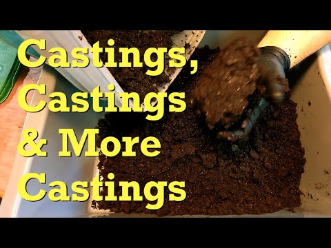 Castings, castings & even more worm castings - farm vermicompost