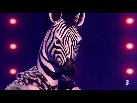 "Balss maskā", Zebra // Can't Feel My Face