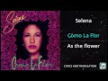 Selena - Como La Flor Lyrics English Translation - Dual Lyrics English and Spanish - Subtitles
