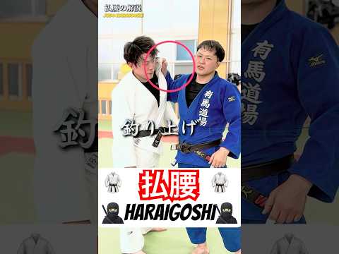【✅リクエストの柔道🥋払い腰解説‼️🔴JUDO HARAIGOSHI🥷🏻】#judo
