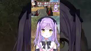 ハセシン宮になっちゃう紫宮るながかわいいｗｗｗ【紫宮るな/ハセシン/秋雪こはく/ぶいすぽっ！】