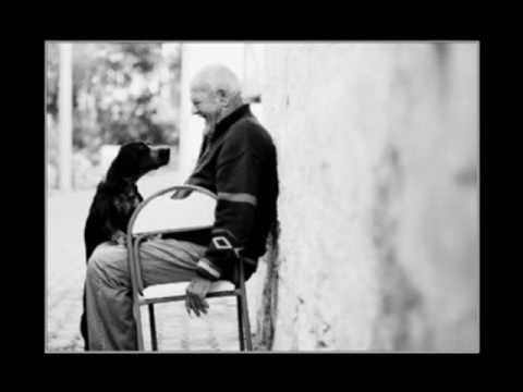 Lão cô đơn - Gạt Tàn Đầy