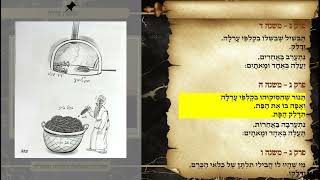 משניות ערלה פרק ג משנה ה