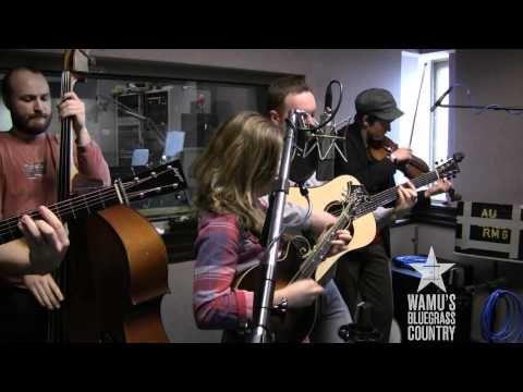 Best Buy - Sierra Hull