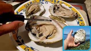 How To Shuck Oysters With A Screwdriver | Don