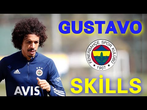 Luiz Gustavo Skills ● Fenerbahçe ● Defensive Skills - Goals & Passes