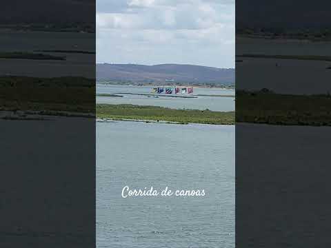corrida de canoas Traipu-Alagoas