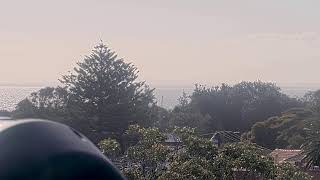 Victoria · Sandringham live stream