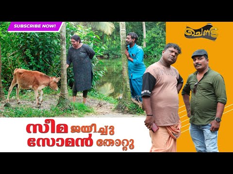 സീമ ജയിച്ചു സോമൻ തോറ്റു | SAJAN PALLURUTHY | CHENDA | COMEDY | WEBSERIES | 2023