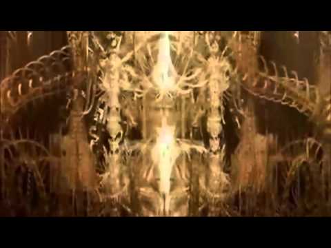 Ayahuasca Curandera - Ícaro