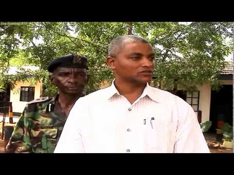 Local News Round Up.