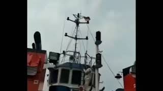 Download lagu Pelaut indonesia mp3 Download lagu Pelaut indonesia mp3
