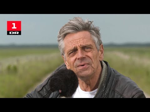Michael Falch - I et land uden høje bjerge | Vi fejrer Sønderjylland - Live fra Dybbøl | DR1