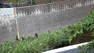 宮下橋映像監視局