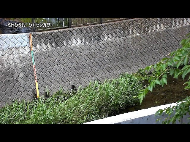宮下橋映像監視局