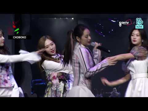 넘나 좋은 것 소나무