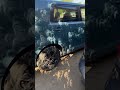 The shadows during the solar eclipse 2023