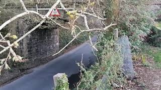 New Life - Easter - 12th April 2020