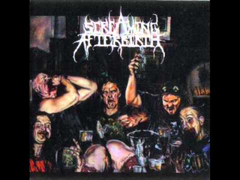 Screaming Afterbirth - The Punk Song (Hidden Track)