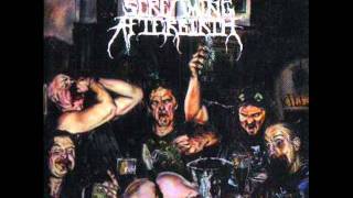 Screaming Afterbirth - The Punk Song (Hidden Track)