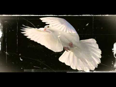 ViKloth - Foc in Ochi (cu Horia)