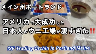 アメリカ最大の日本人のウニ工場!