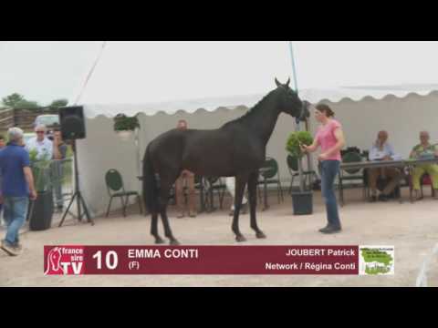 Concours AQPS Cercy 2016 Lot 10 : EMMA CONTI