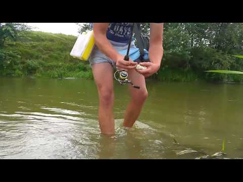 Spinning la clean : Small river with amazing chub fishing c&r nr3