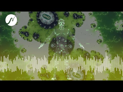 Optimierung des Vitamin B1-Spiegels für mehr Energie und Wohlbefinden (neowake® Biofrequenzen)