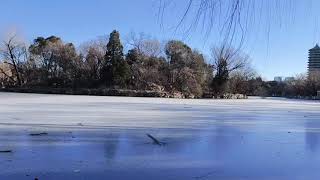 曼谷颜值天花板Elite,EB5直投的机会成本是500万,博士就业调动等项目符合条件才能把钱花出去