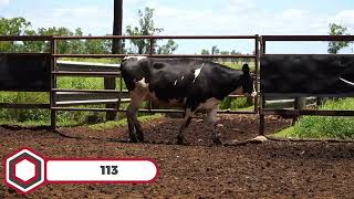 Download lagu LOT 113 mp3