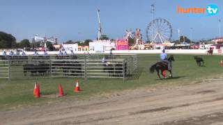 preview picture of video 'Campdrafting - 2015 IGA Newcastle Regional Show - Newcastle NSW Australia'