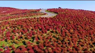動画2